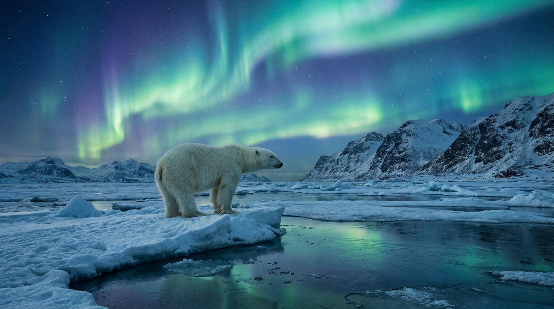 蜜芽杰尼龟视频